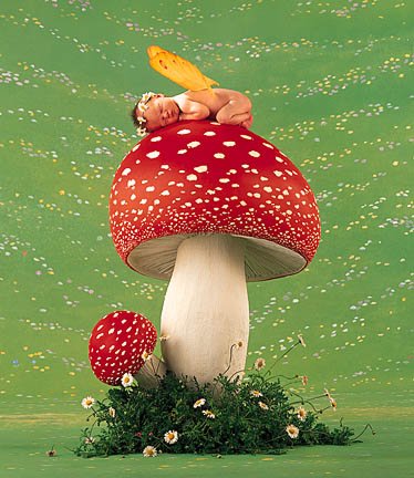 champignon, bébé...