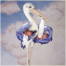 oiseau... moi... bébé... nuage... soleil...