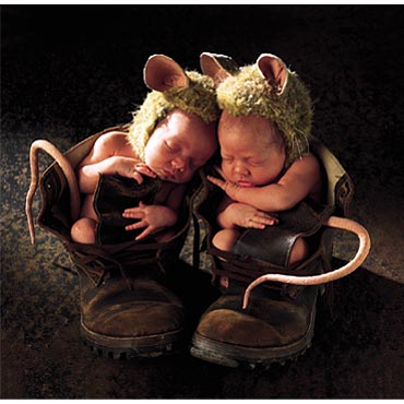 Bébé, chaussures, souris toute$ mimi...