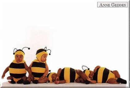Des bébés des abeilles mignon ou mignone...