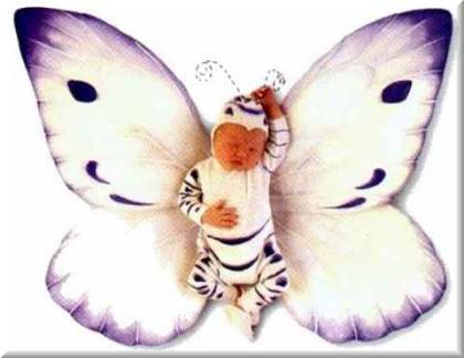 Papillon tout chtit bébé tout chtit un monde tout chtit